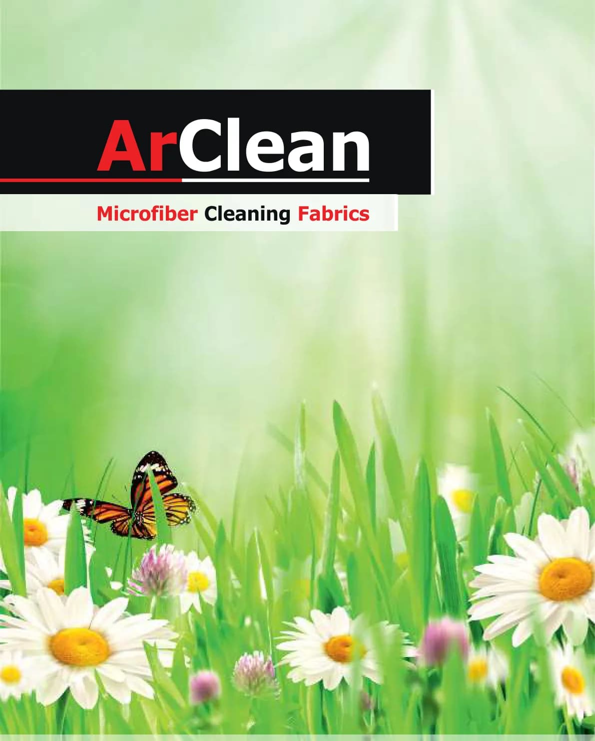 ArClean